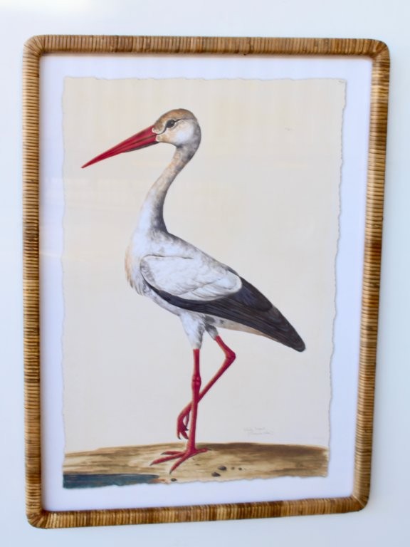 Stork Picture Cane Frame